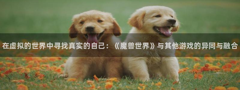 鼎点娱乐游戏：在虚拟的世界中寻找真实的自己：《魔兽世界》与其
