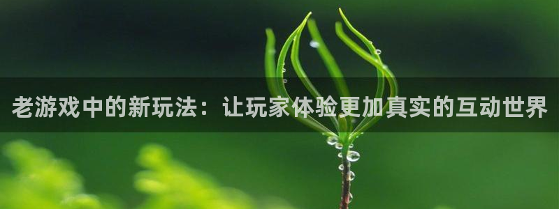 鼎点娱乐升级5994月：老游戏中的新玩法：让玩家体验更加真实