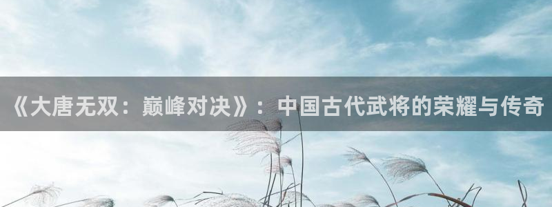 鼎点娱乐注册：《大唐无双：巅峰对决》：中国古代武将的荣耀与传