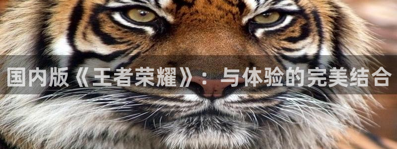 鼎点娱乐平台注册开户：国内版《王者荣耀》：与体验的完美结合