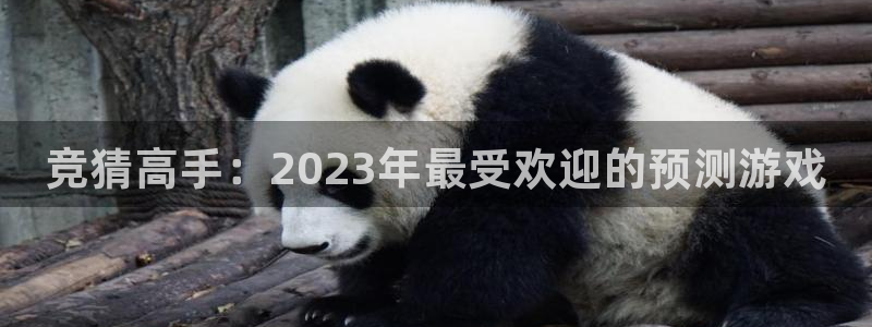 鼎点娱乐注册登录平台：竞猜高手：2023年最受欢迎的预测游戏
