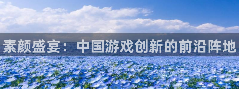 鼎点娱乐4主管：素颜盛宴：中国游戏创新的前沿阵地