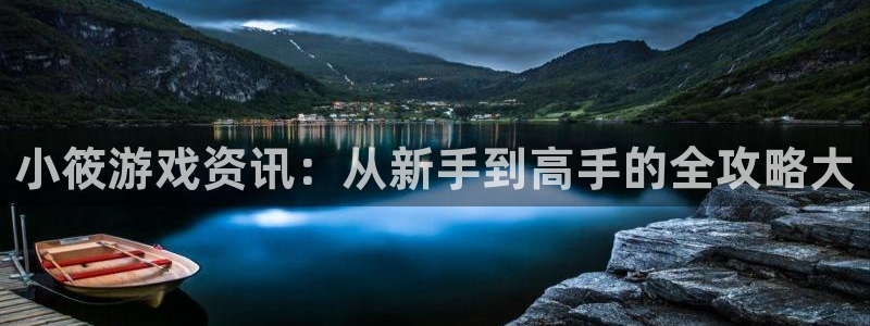 鼎点娱乐平台官网登录：小筱游戏资讯：从新手到高手的全攻略大