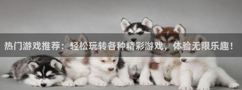 鼎点娱乐app下载：热门游戏推荐：轻松玩转各种精彩游戏，体验