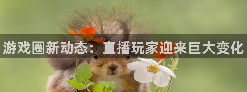 鼎点娱乐集团：游戏圈新动态：直播玩家迎来巨大变化