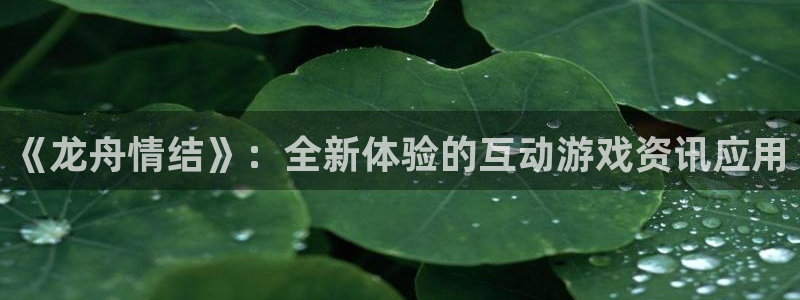 鼎点娱乐手机网页版登录：《龙舟情结》：全新体验的互动游戏资讯