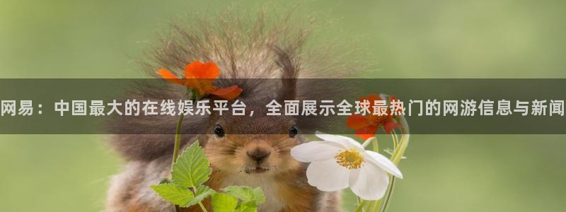 鼎点娱乐集团：网易：中国最大的在线娱乐平台，全面展示全球最热