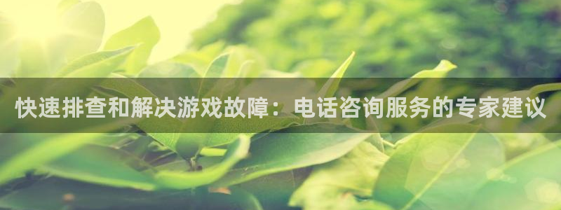 鼎点娱乐app：快速排查和解决游戏故障：电话咨询服务的专家建