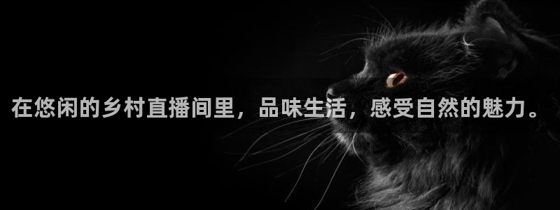 说球帝nba直播免费高清