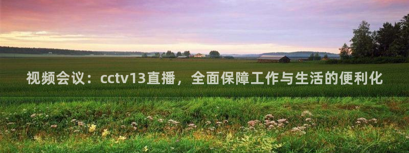 nba直播免费高清无插件直播说球帝：视频会议：cctv13直播，全面保障工作与生活的便利化