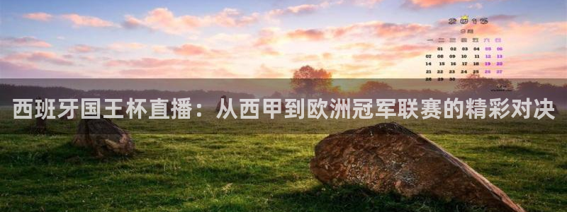 说球帝nba直播在线篮球：西班牙国王杯直播：从西甲到欧洲冠军联赛的精彩对决