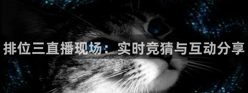 说球帝58直播：排位三直播现场：实时竞猜与互动分享