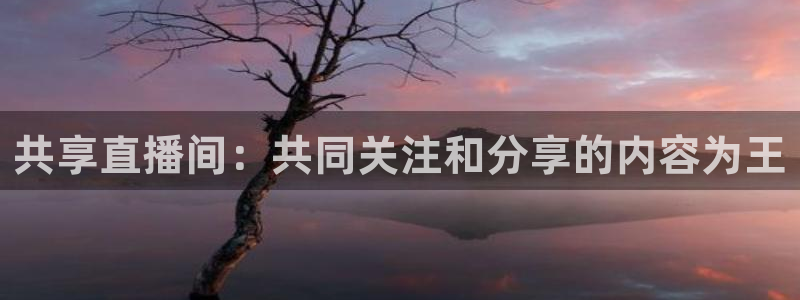说球帝在线观看nba免费直播：共享直播间：共同关注和分享的内容为王